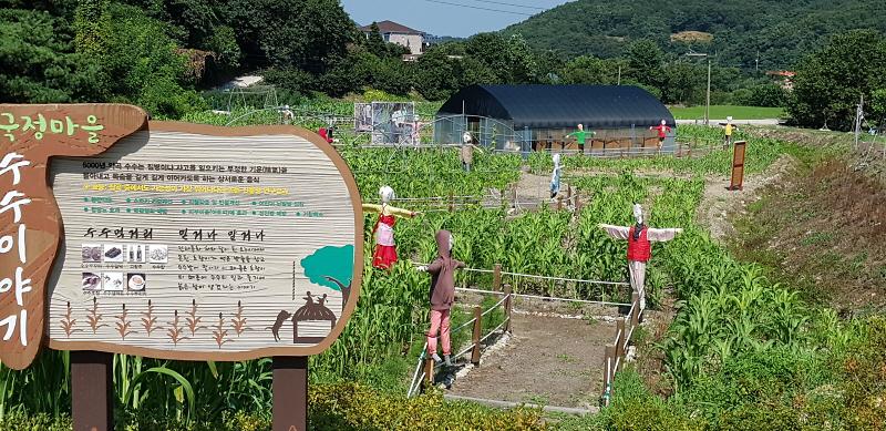[꾸미기]수수밭활동장.jpg 사진 